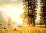 Albert Bierstadt Hetch Hetchy Valley oil painting picture wholesale
